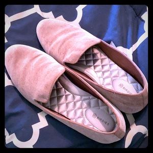 Pink Starling Birdies!